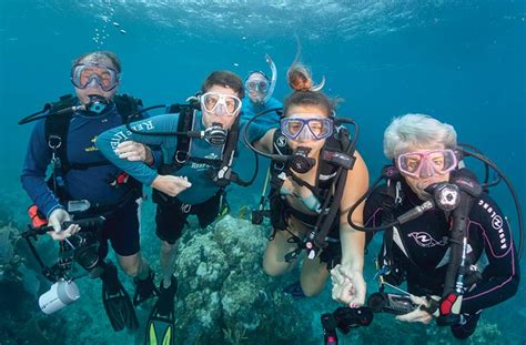 group dive trips.